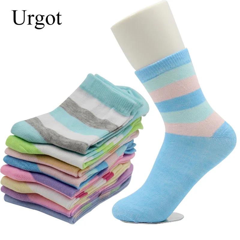 Urgot-ĵ ÷ ư  縻 3 , м Ʈ Ʈ  ġ  縻,  Sokken Meias Calcetines Mujer